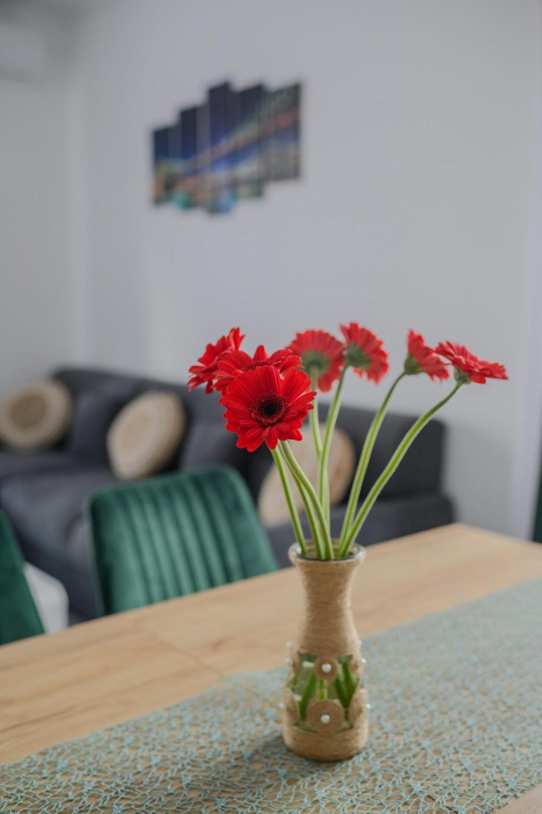 Apartament Radiana Băile Felix Eksteriør bilde